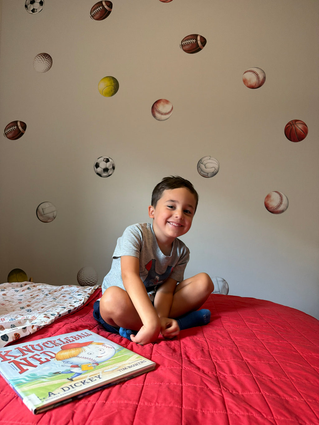 Sports Balls Wall Decals