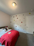 Sports Balls Wall Decals